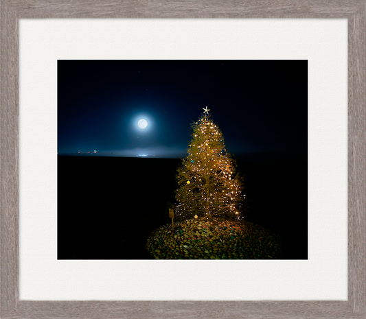 North Street Tree image 1