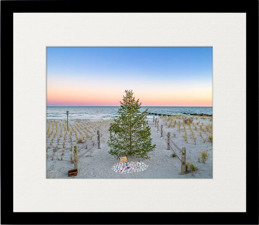 North Street Tree image 1