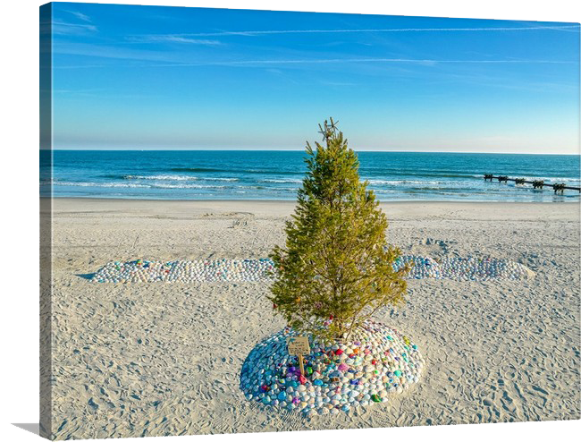 North Street Tree image 0