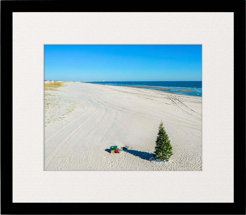 55th Street Tree image 3