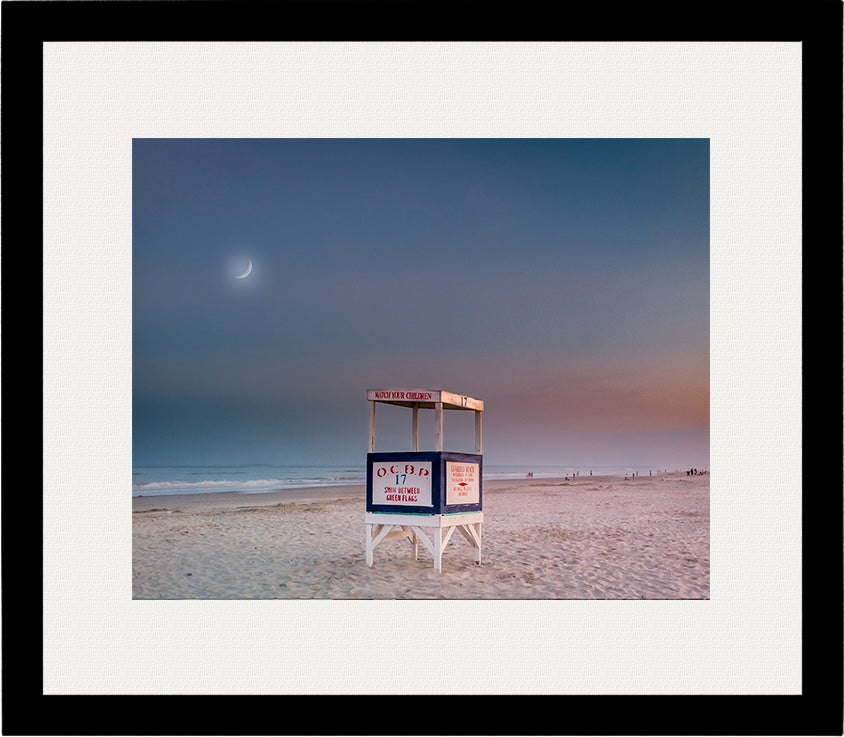 Guarding the Moon image 1