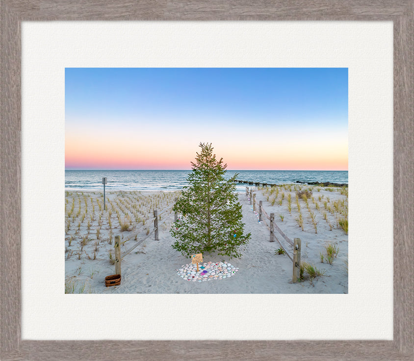 North Street Tree image 0
