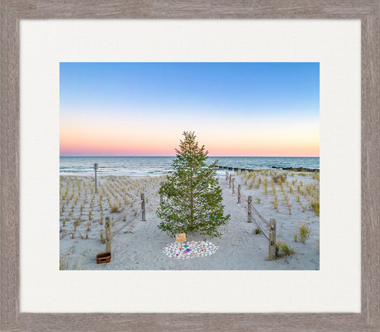 North Street Tree image 0
