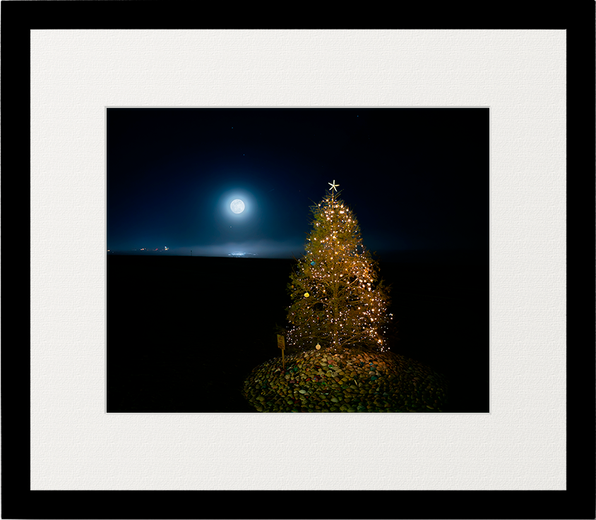 North Street Tree image 0